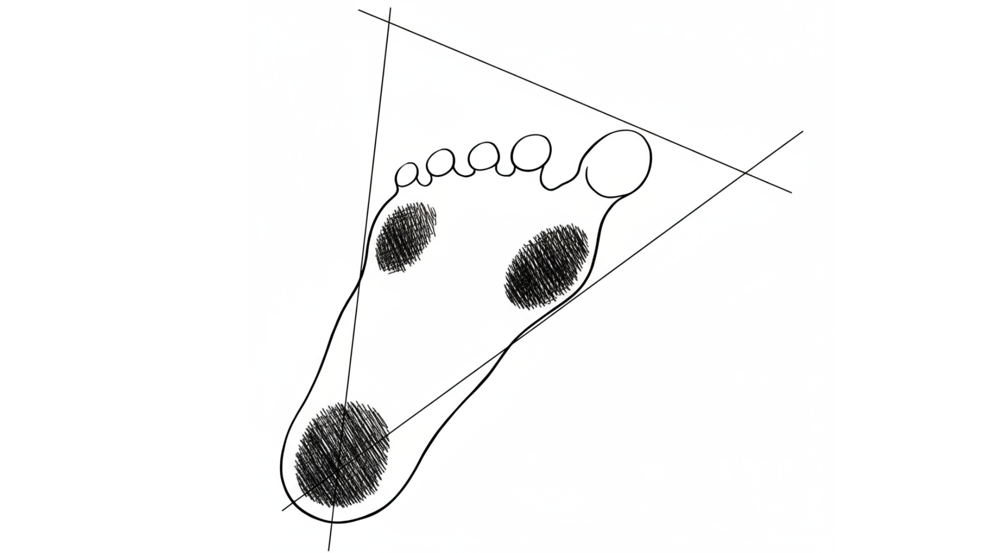 The foot tripod showing three points of contact